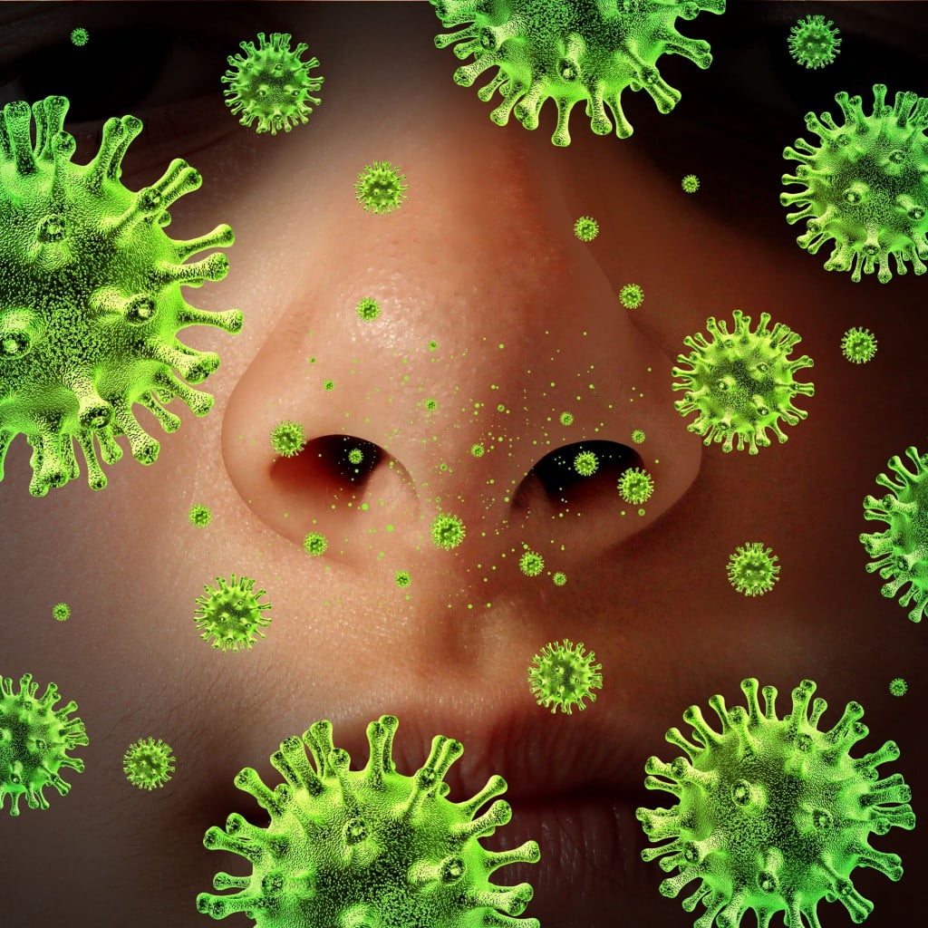Allergy sufferers