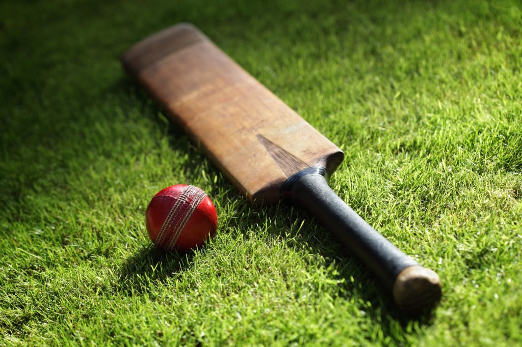 cricket bat and ball on grass