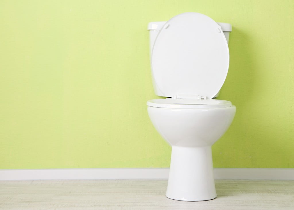 toilet with raised seat,