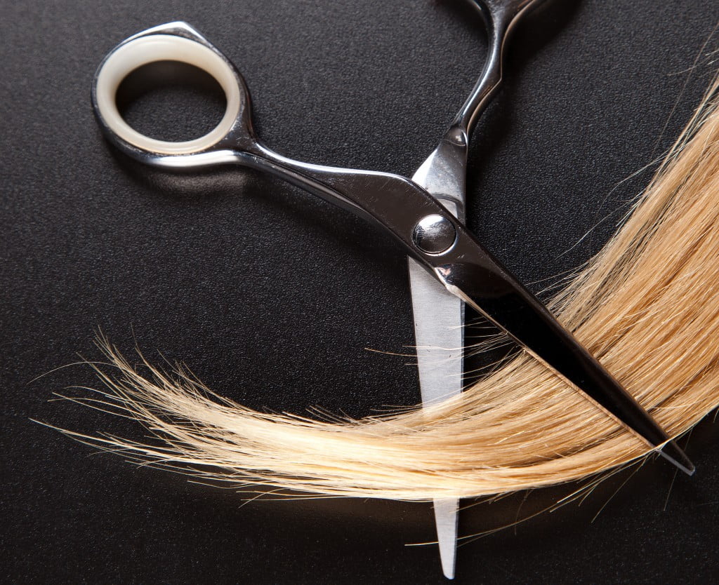 hair testing: scissors snip lock of blonde hair
