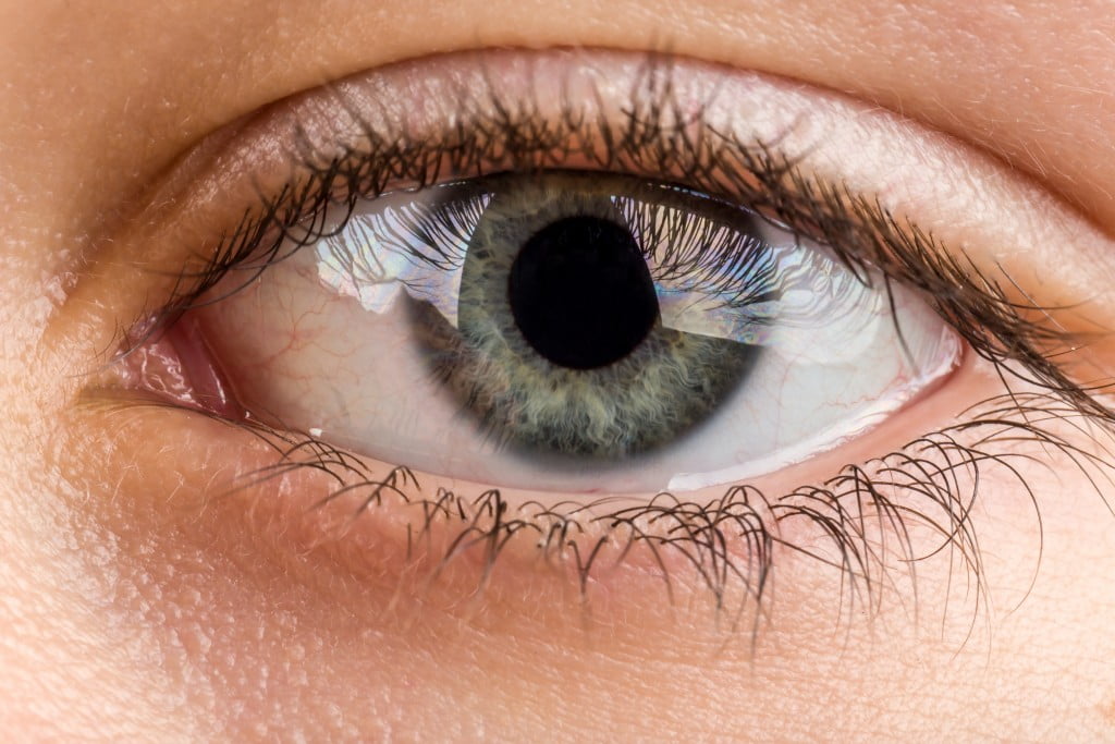 close-up of eye (glaucoma story)