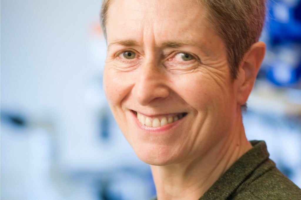 Prof Anne Kelso
