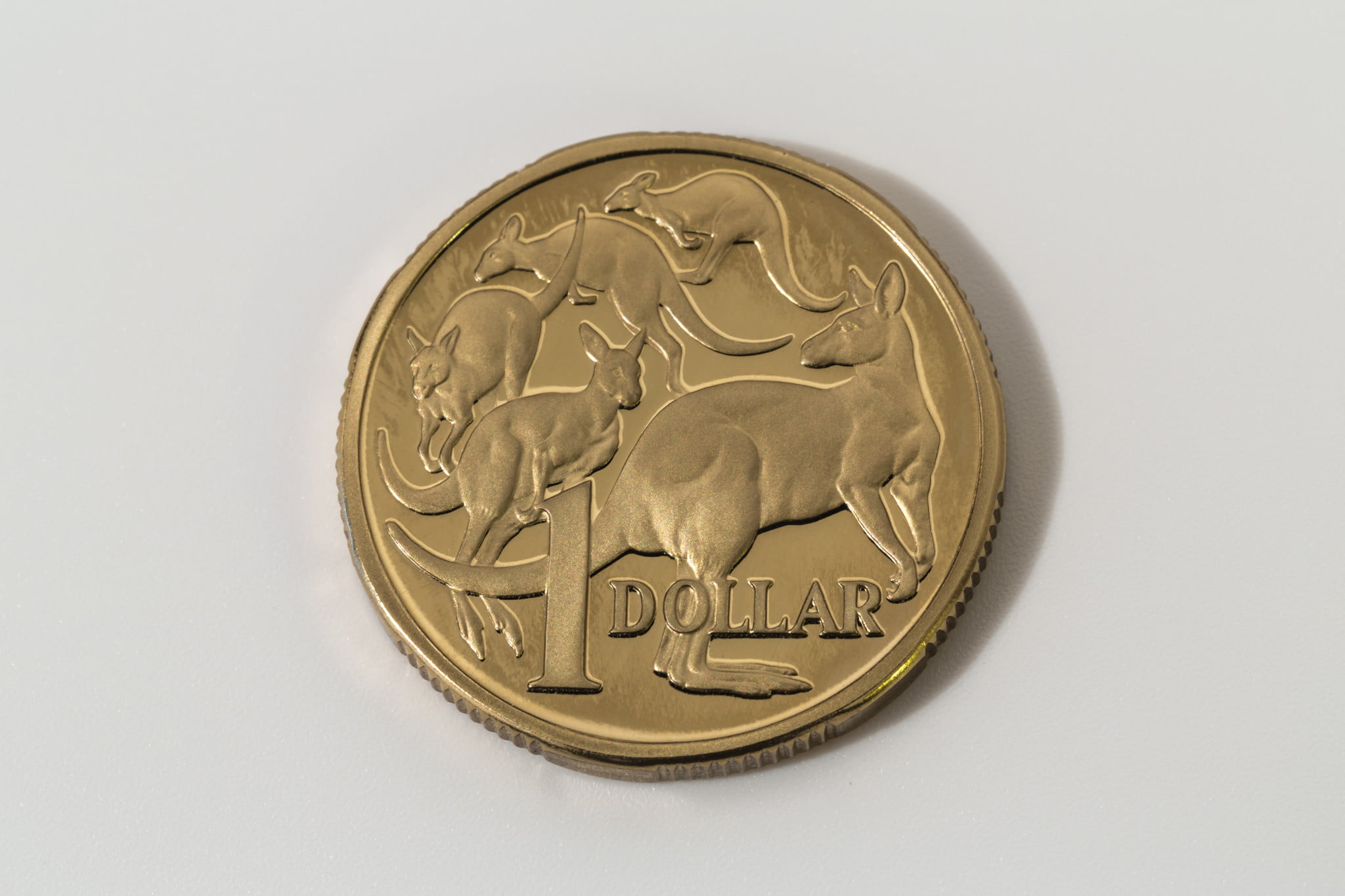 $1 pharmacy discount: single dollar coin