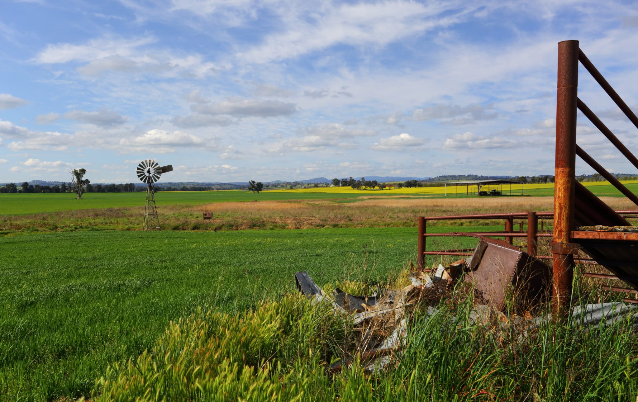 young pharmacists should go rural, says Gill: regional Australian landscape with windmil