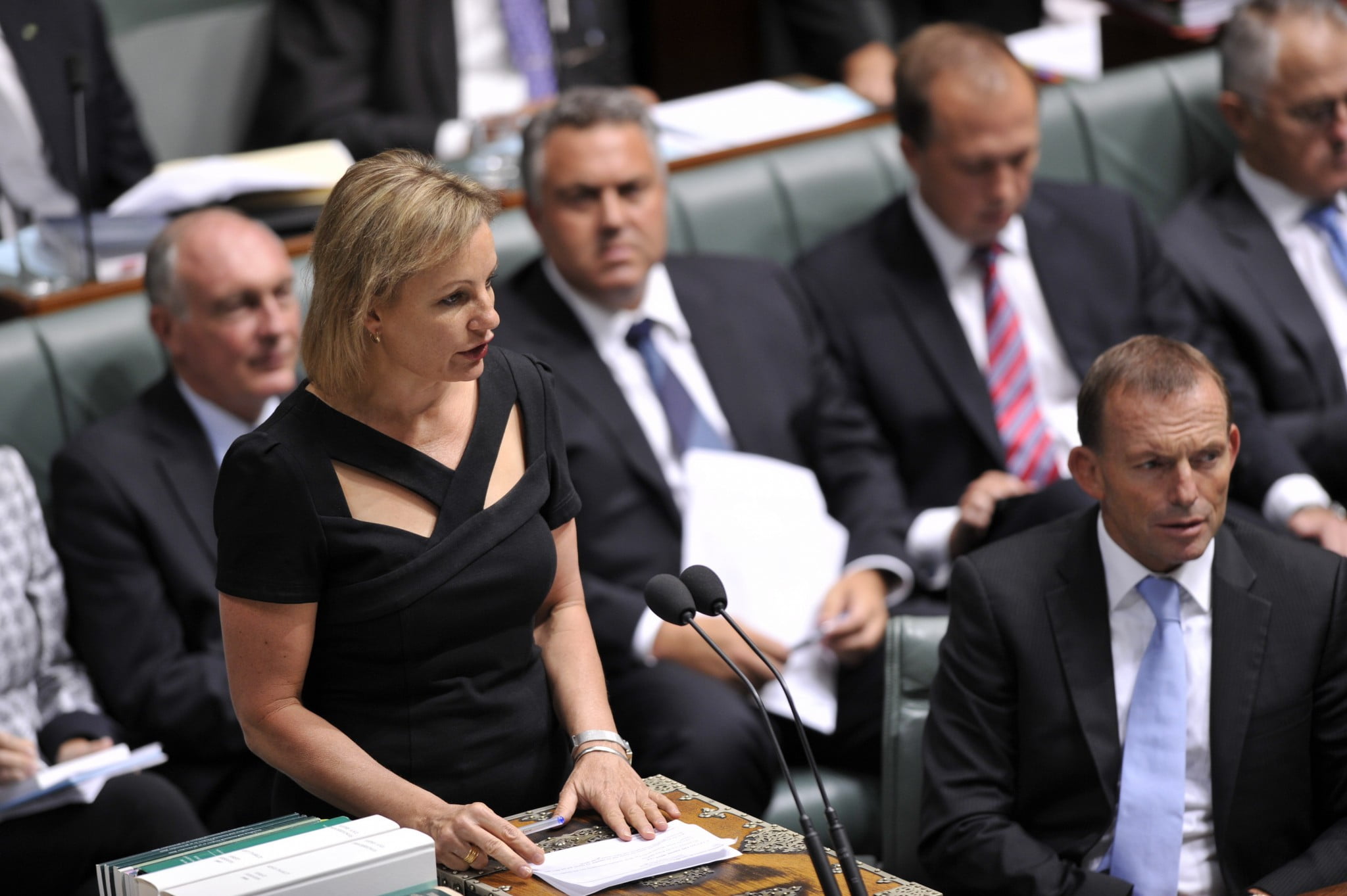 Sussan Ley in Parliament (in Opposition): today she has lauded the wider PBS reforms package