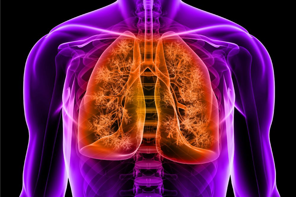 3d set of orange lungs
