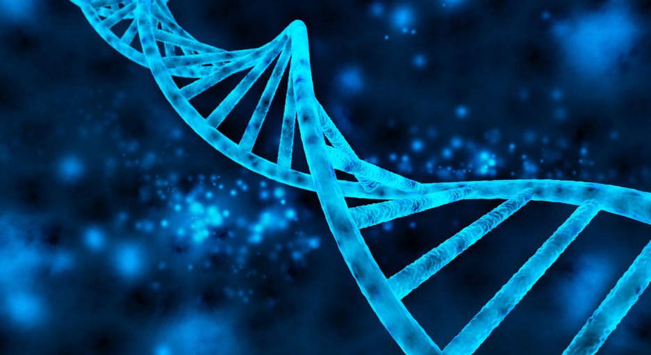 double helix (DNA)