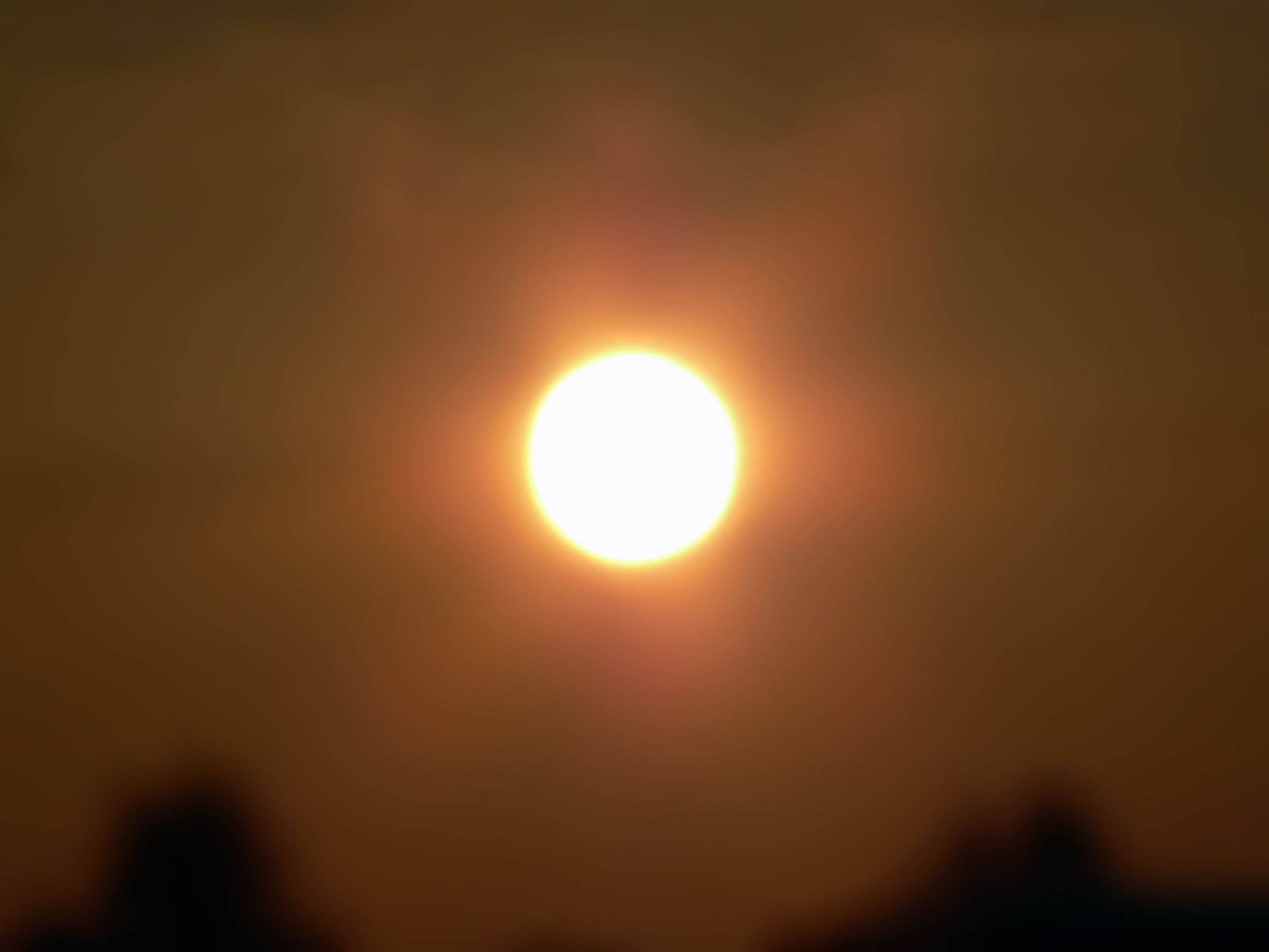 sun through heatwave