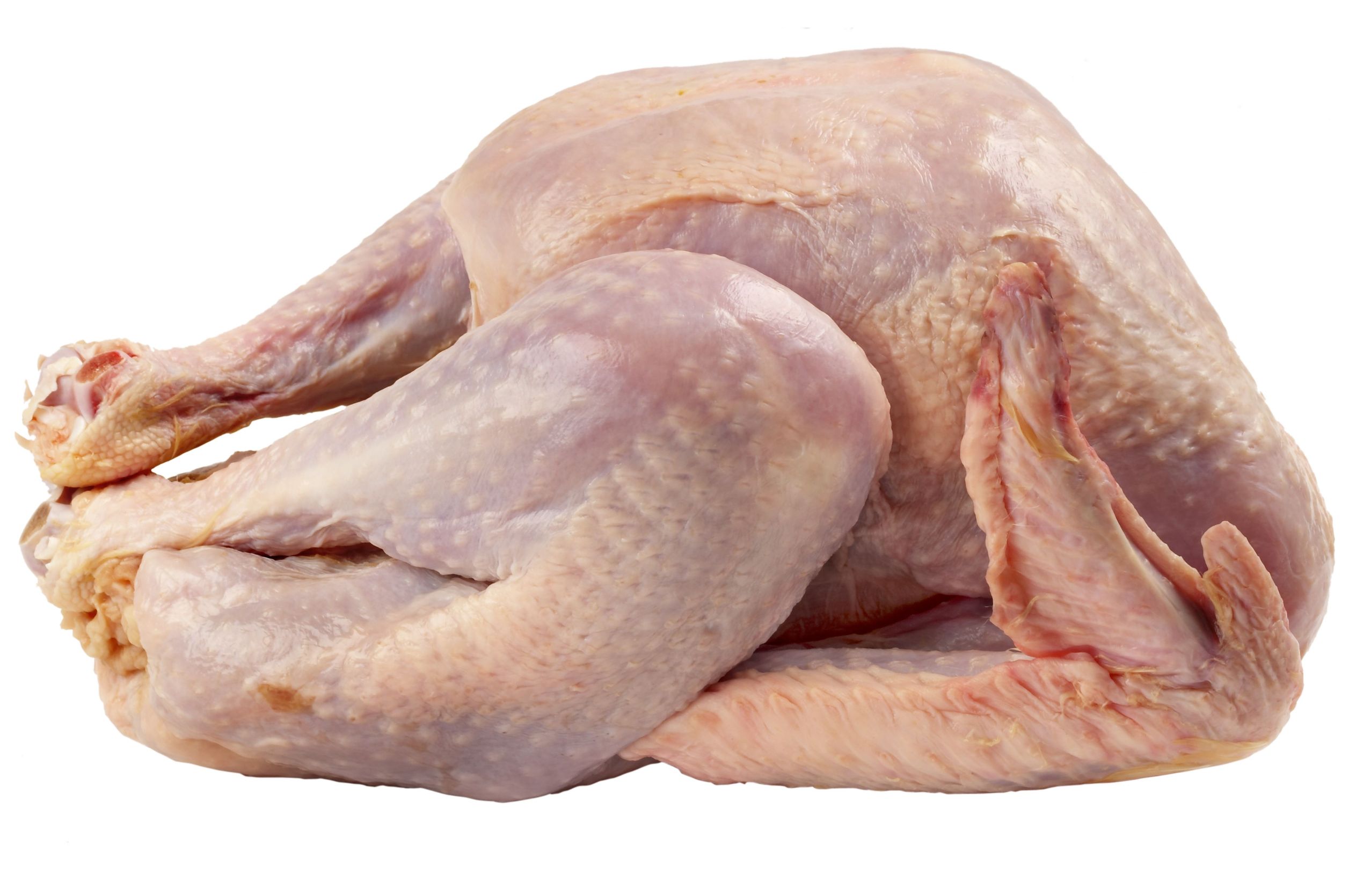 raw turkey