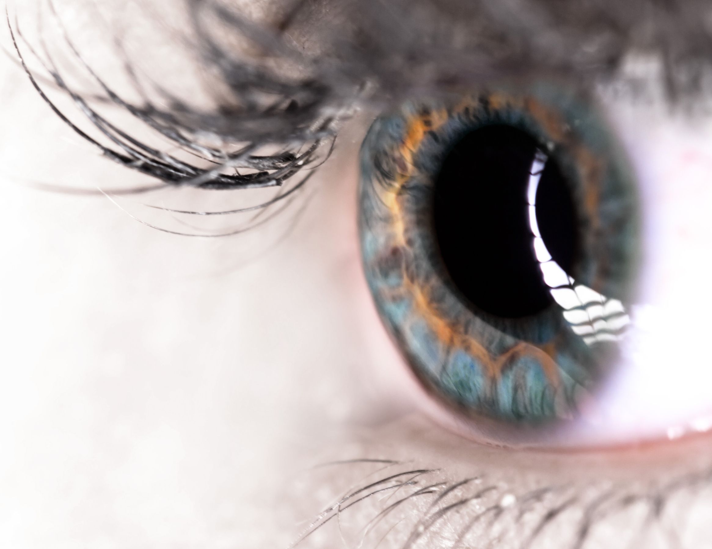 close-up of eye: glaucoma tips