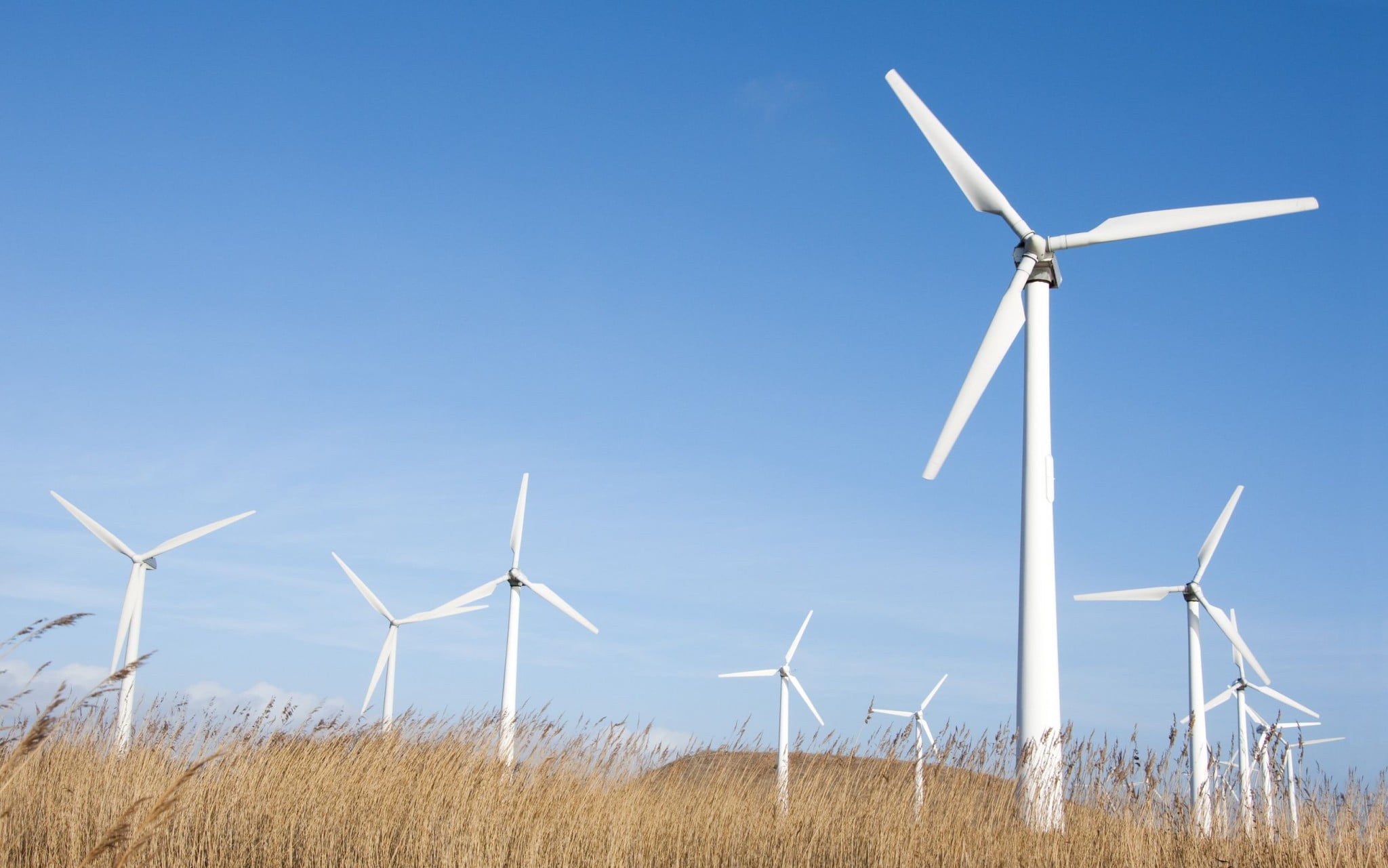 wind farm turbines