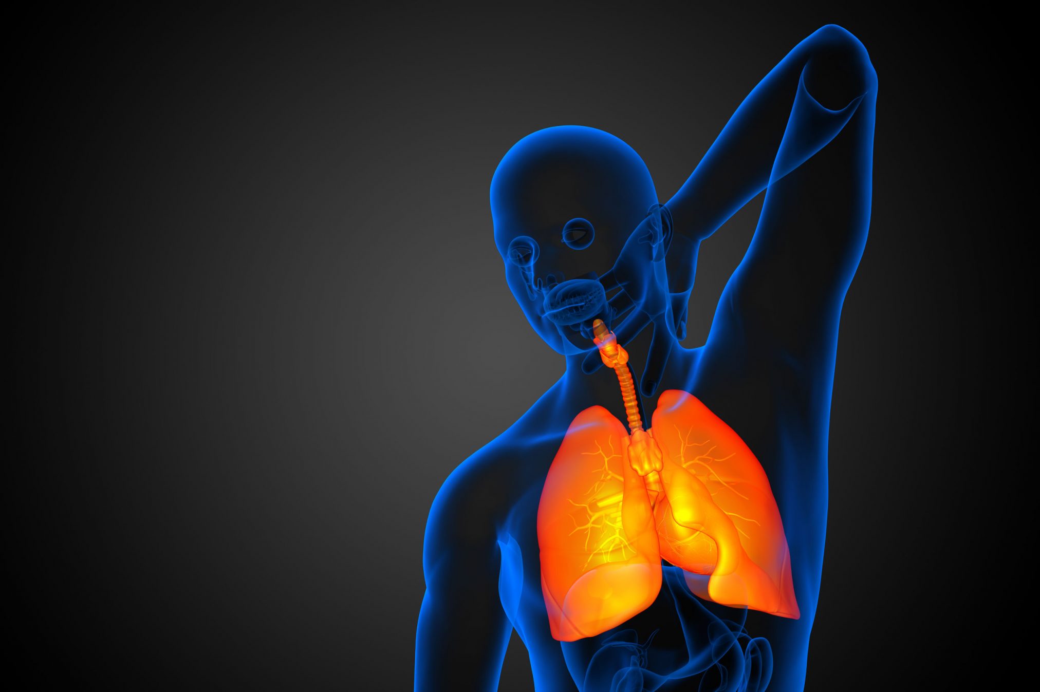 38483473 - 3d rendered illustration of the respiratort system - front view