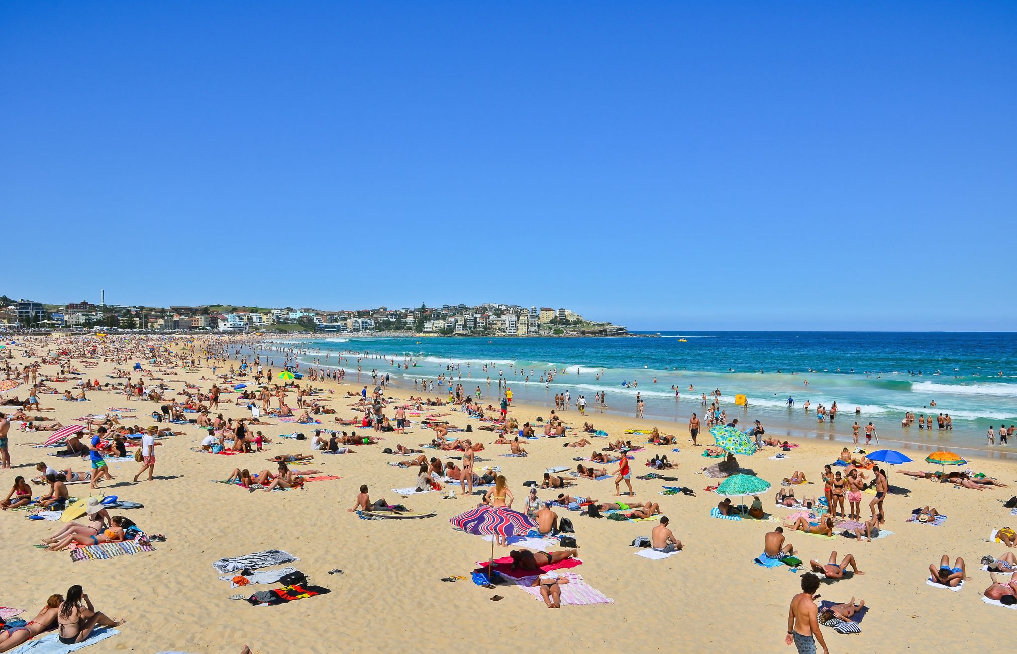 sunbathers at bondi