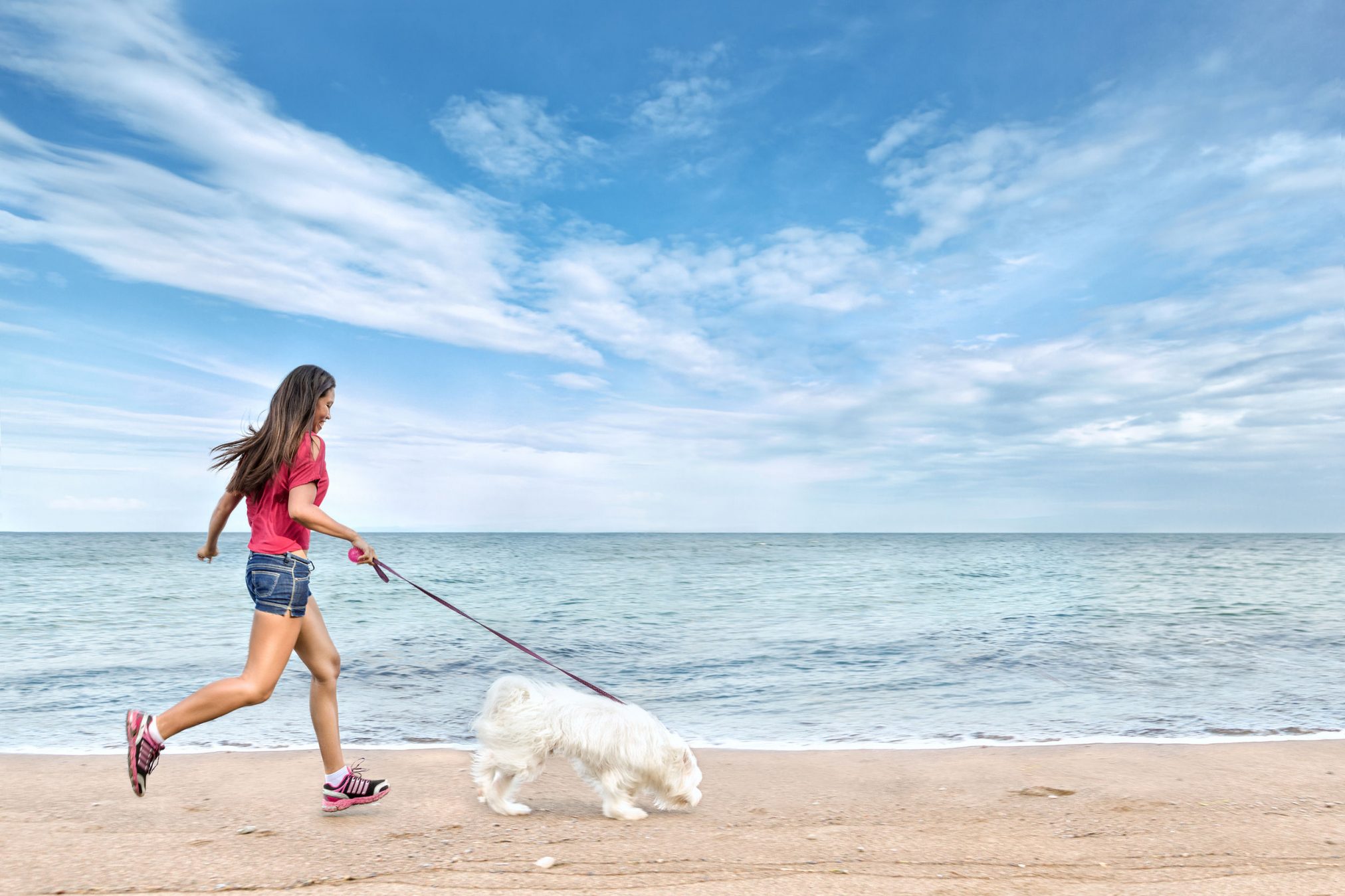 woman walking dog at the beach