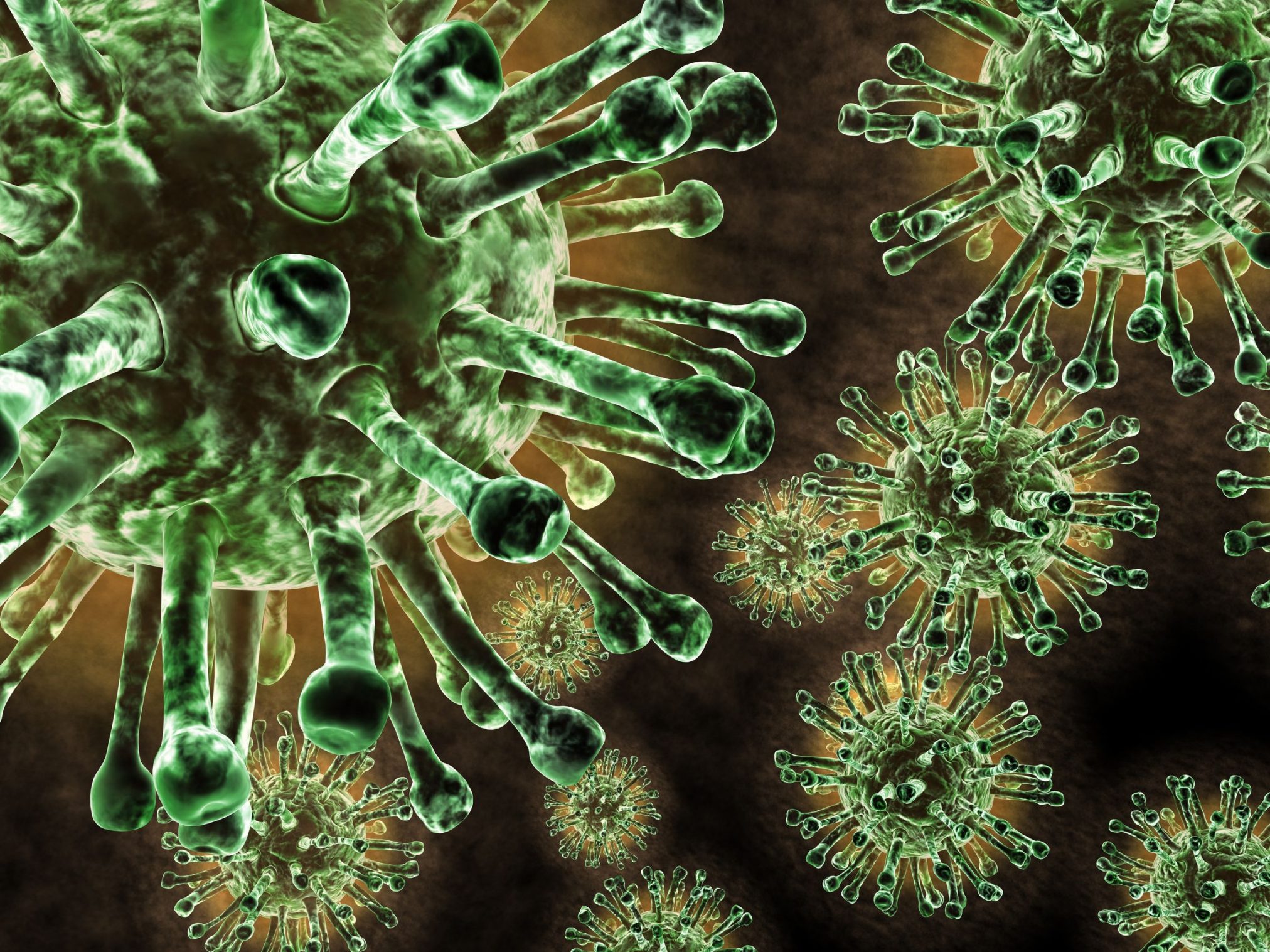 flu virus