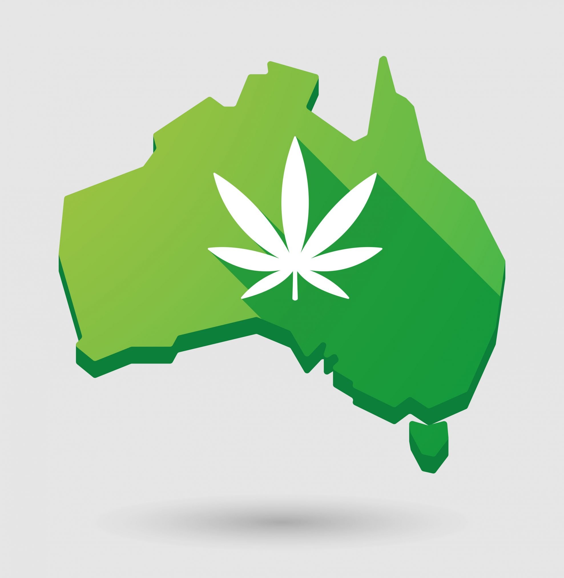 cannabis medicinal