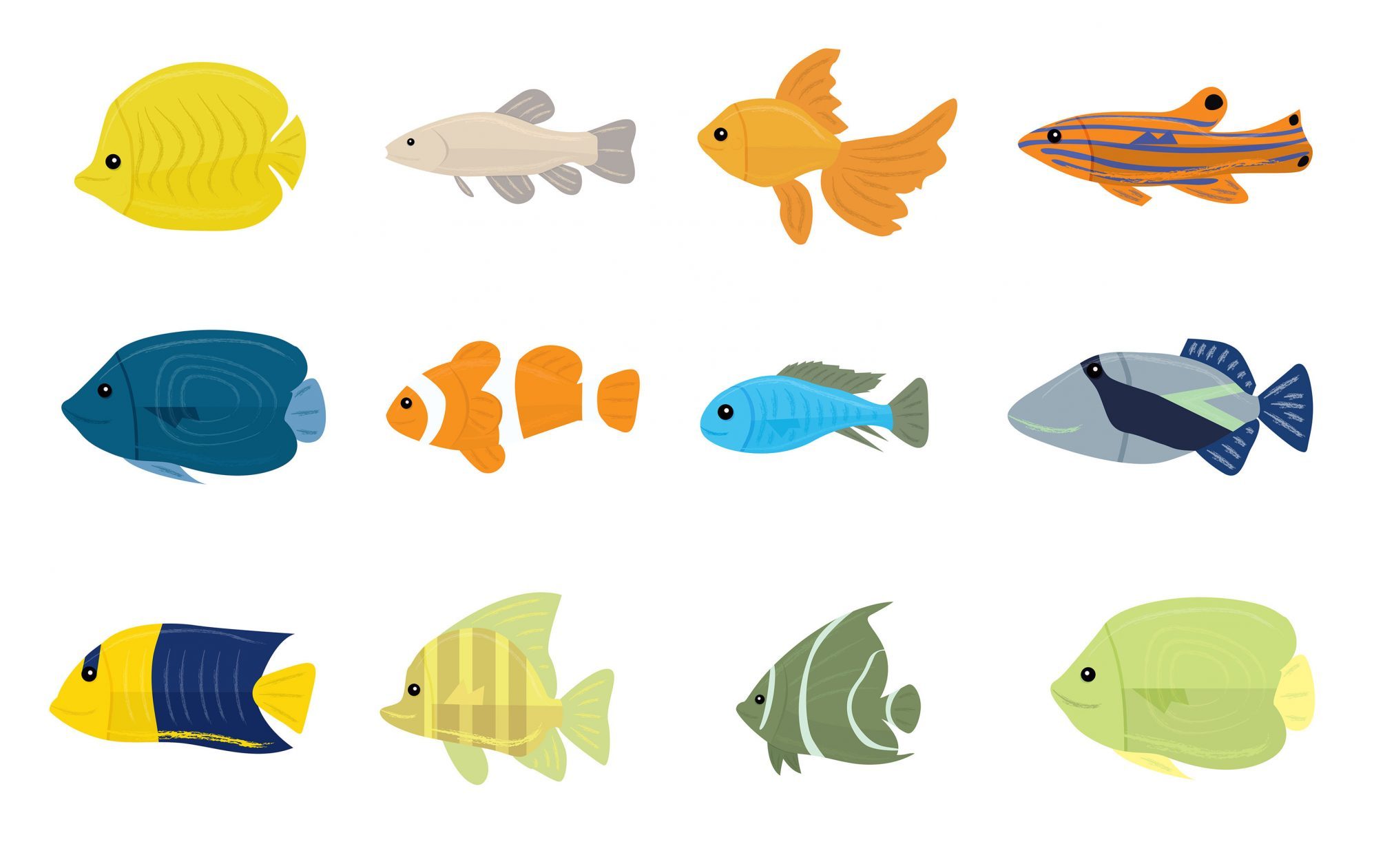 fish