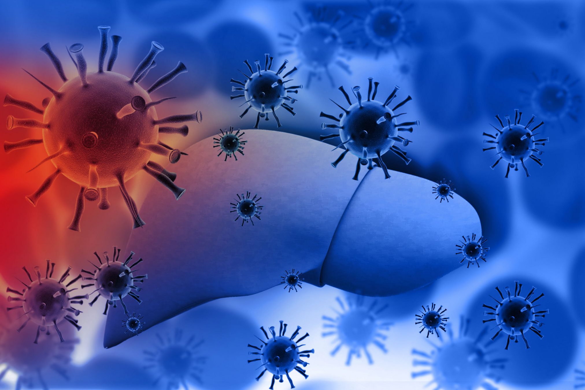 liver with hepatitis virus render