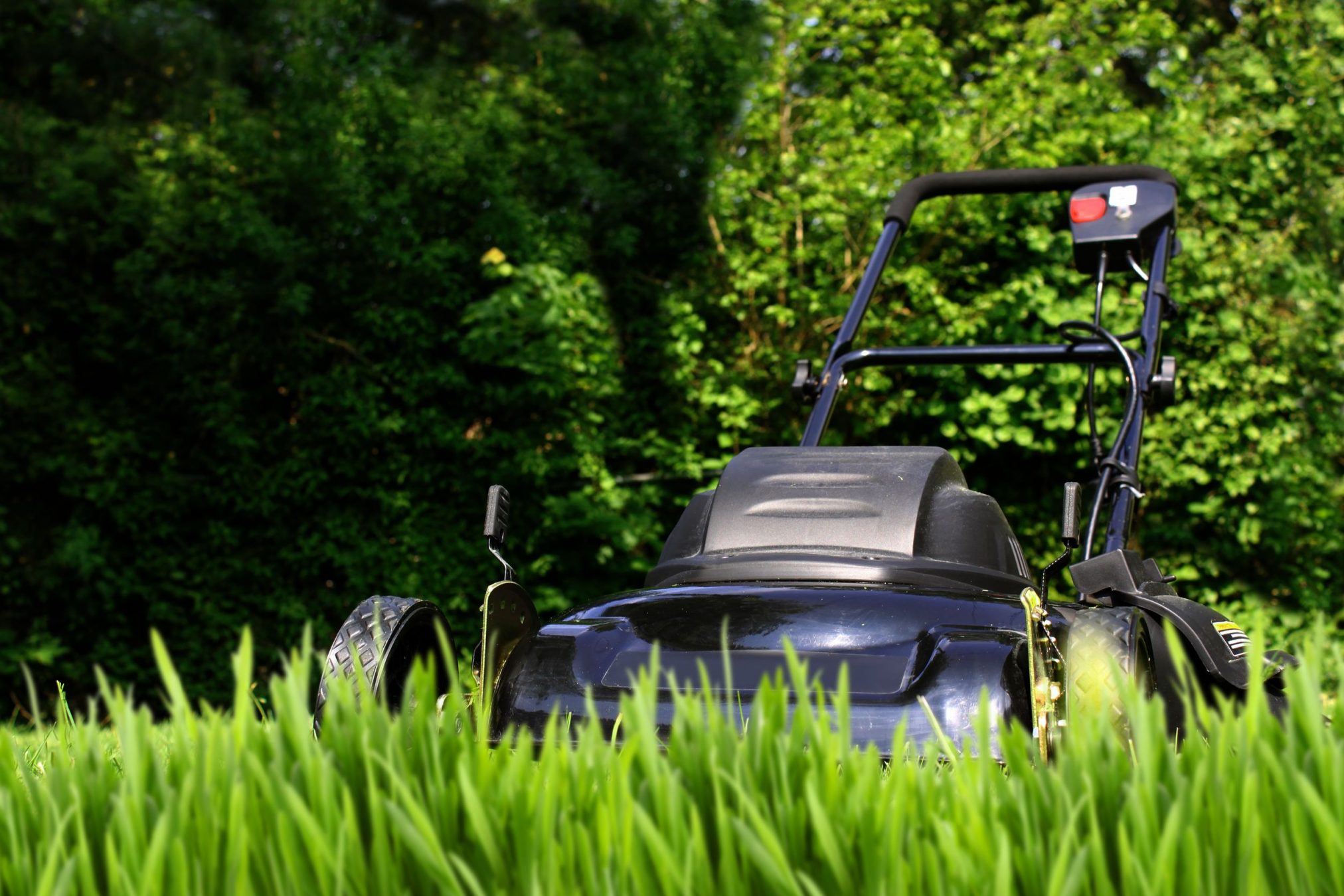 lawnmower looking ominous