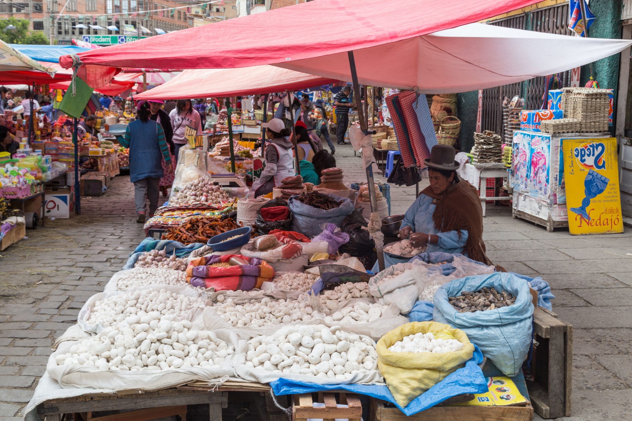 Food market in Bolivia