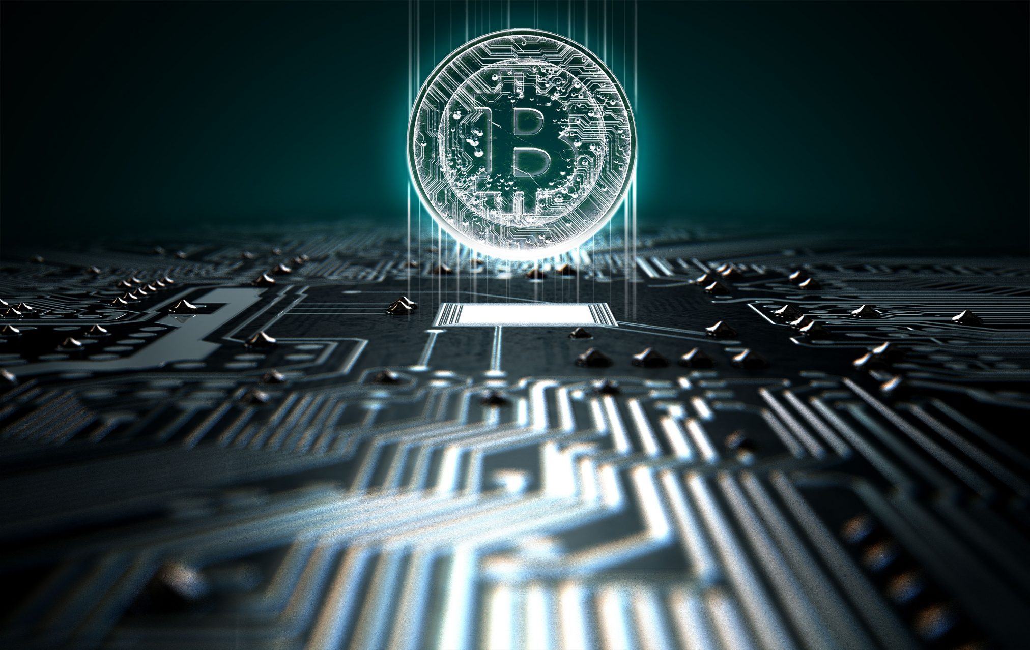 bitcoin dark web darknet
