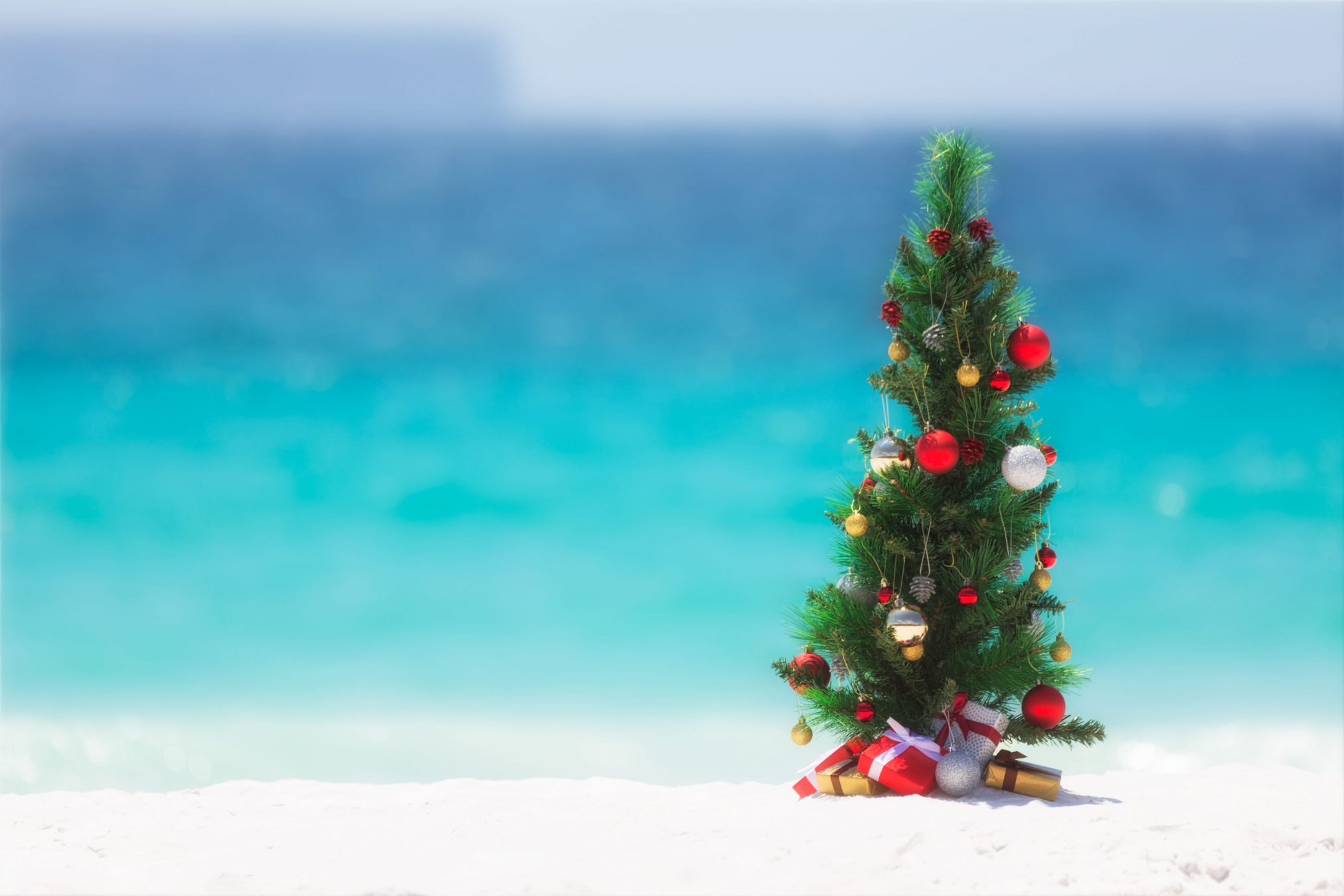 christmas summer