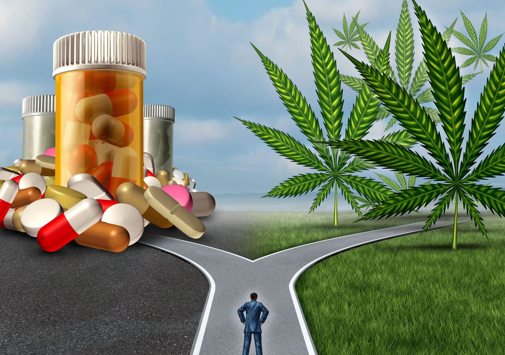 At a crossroads: medicinal cannabis or opioids?