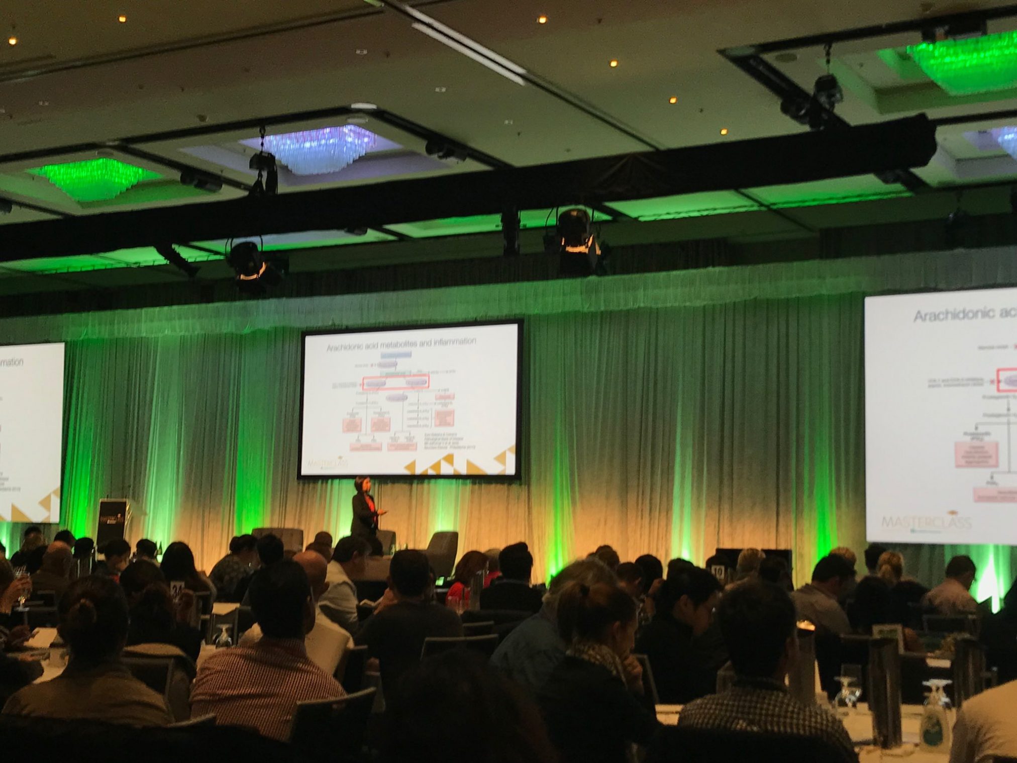 Joyce McSwan presents at the TWC Masterclass. Image: Chris Campbell via Twitter