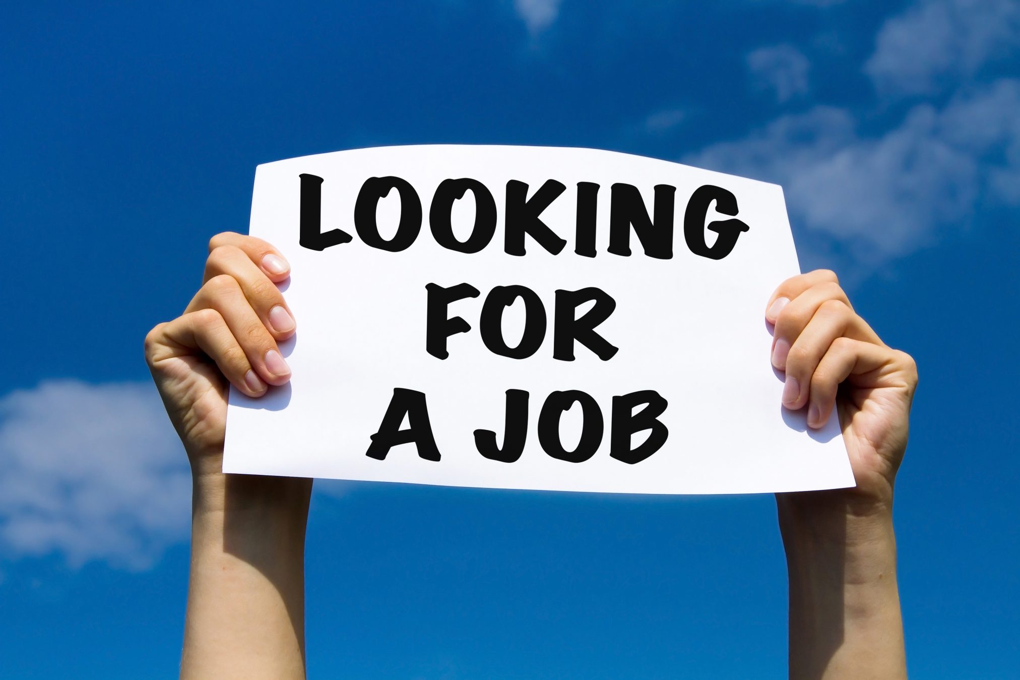 holding a sign: 'looking for a job'