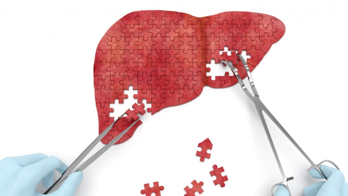 liver puzzle