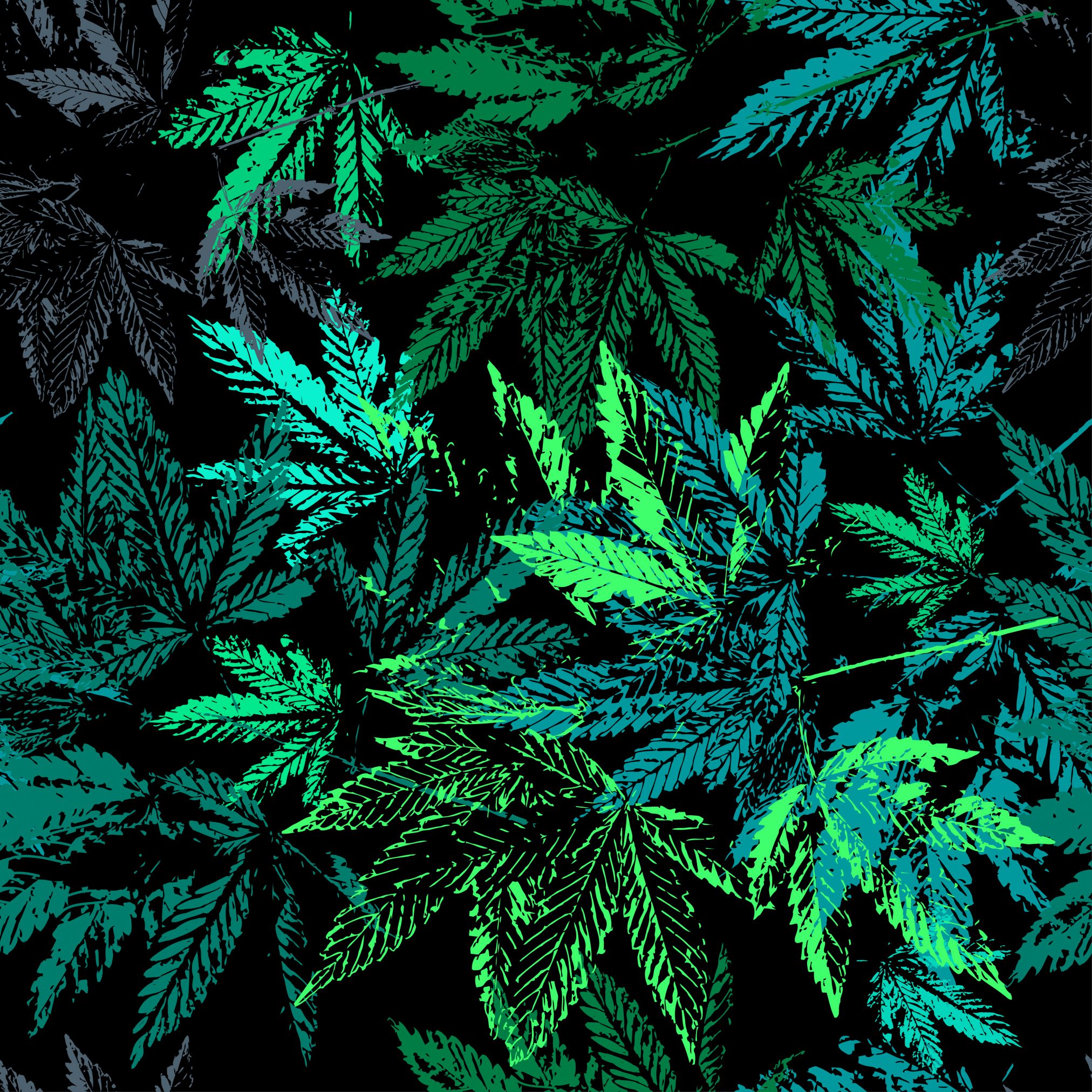 cannabis marijuana weed