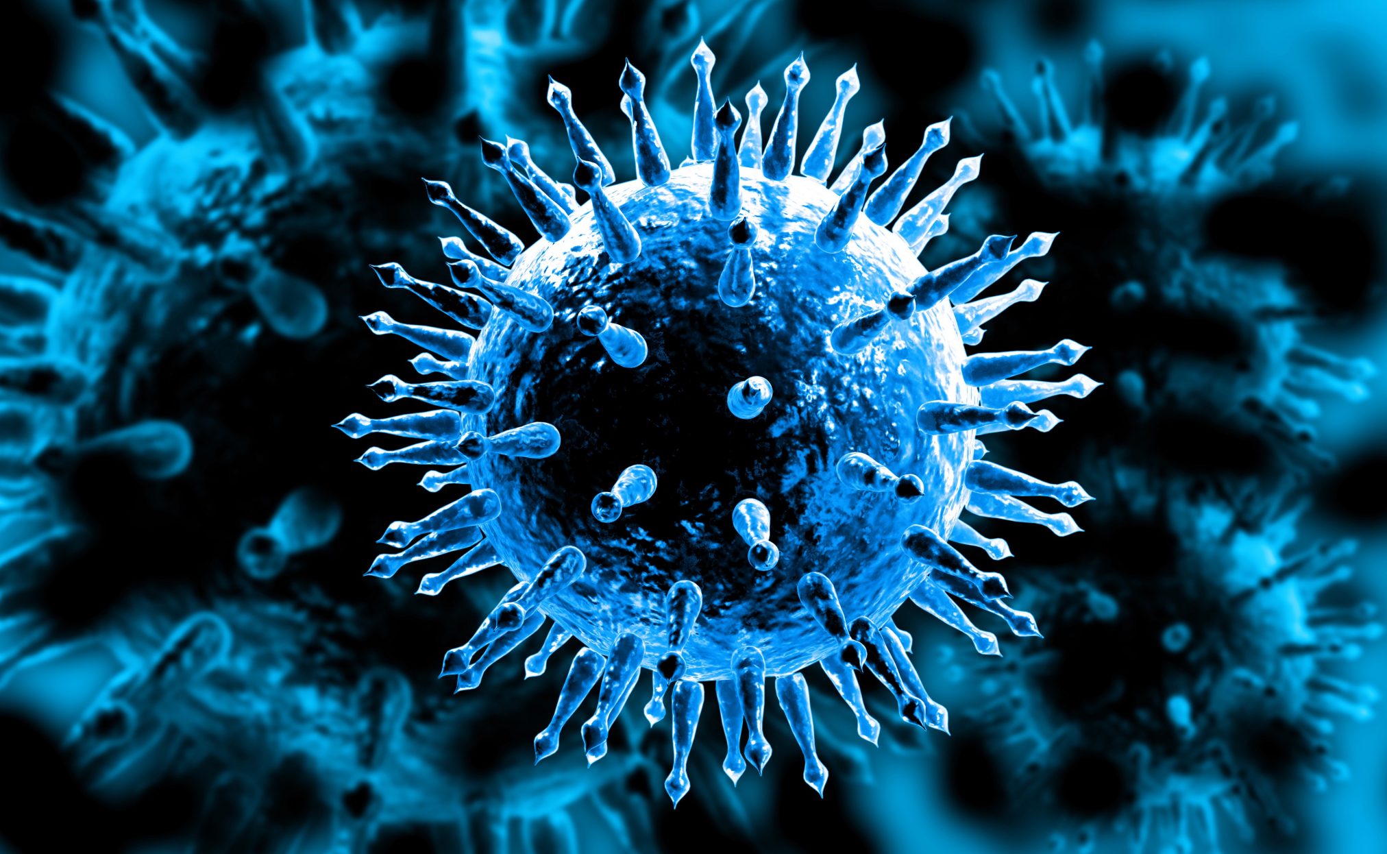 The flu virus.