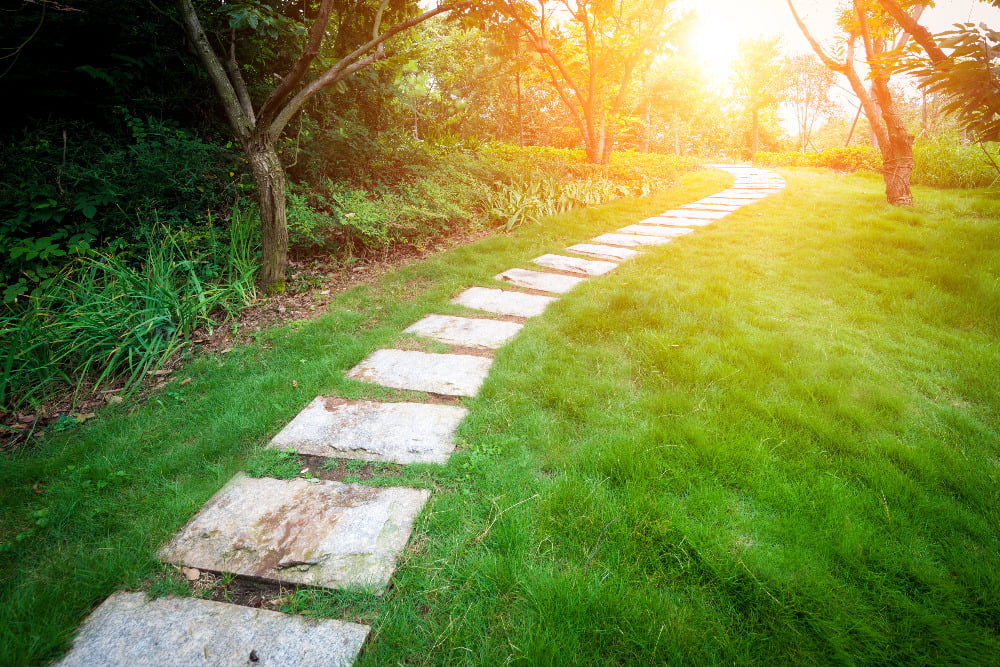 pathway future garden