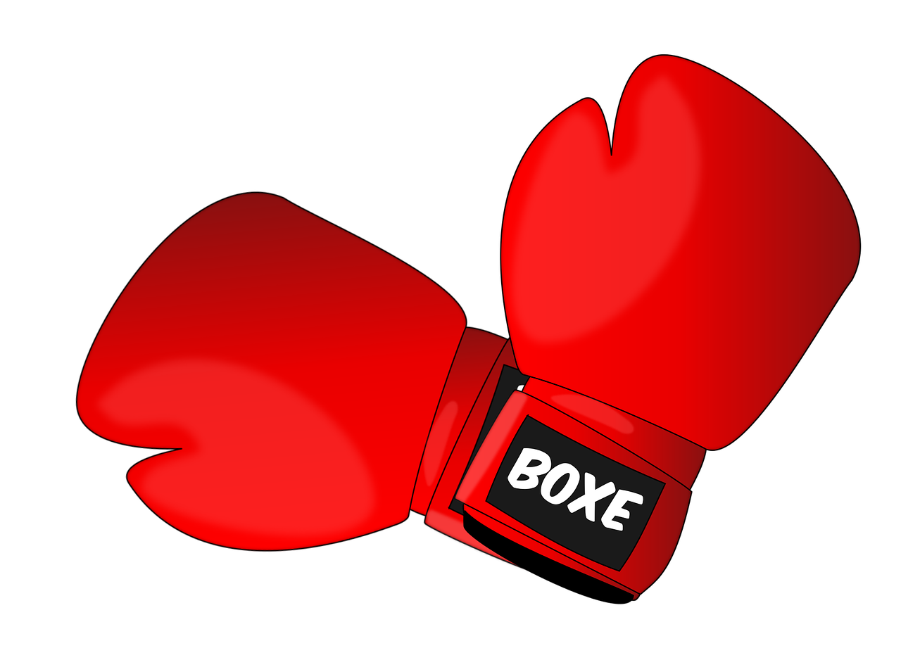 Boxing gloves